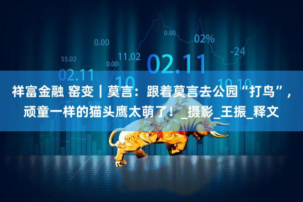 祥富金融 窑变｜莫言：跟着莫言去公园“打鸟”，顽童一样的猫头鹰太萌了！_摄影_王振_释文