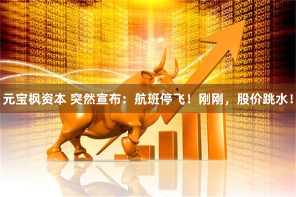 元宝枫资本 突然宣布：航班停飞！刚刚，股价跳水！